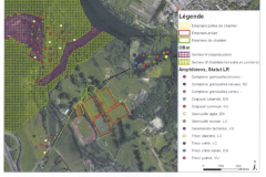 sauvons-parc-evaux.ch-sauvons-parc-evaux.ch-la-grande-saga-continue-au-parc-des-evaux-image15-sauvons-parc-evaux.ch-la-grande-saga-continue-au-parc-des-evaux-image15