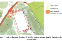 sauvons-parc-evaux.ch-sauvons-parc-evaux.ch-la-grande-saga-continue-au-parc-des-evaux-image19-sauvons-parc-evaux.ch-la-grande-saga-continue-au-parc-des-evaux-image19