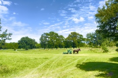 sauvons-parc-evaux.ch-img-29011