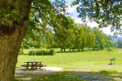 sauvons-parc-evaux.ch-img-2908