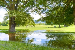 sauvons-parc-evaux.ch-img-2910