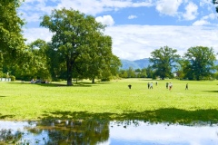 sauvons-parc-evaux.ch-img-2911