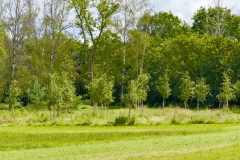 sauvons-parc-evaux.ch-img-2915