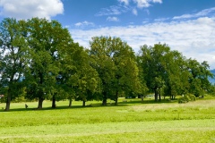 sauvons-parc-evaux.ch-img-29181