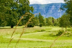 sauvons-parc-evaux.ch-img-2922