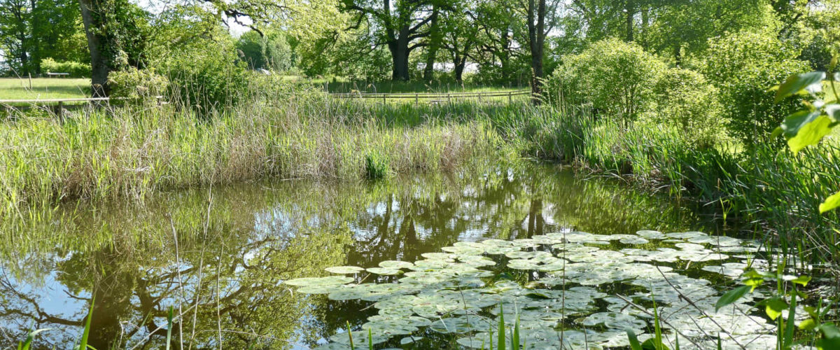 Parc des Evaux - Copyright 2021 Beat Lowensberg