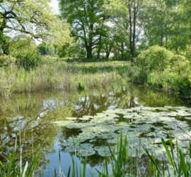 Parc des Evaux - Copyright 2021 Beat Lowensberg