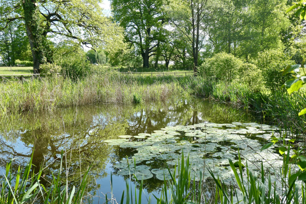 Parc des Evaux - Copyright 2021 Beat Lowensberg